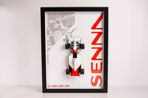 Ayrton senna mclaren - senna, mp4/6